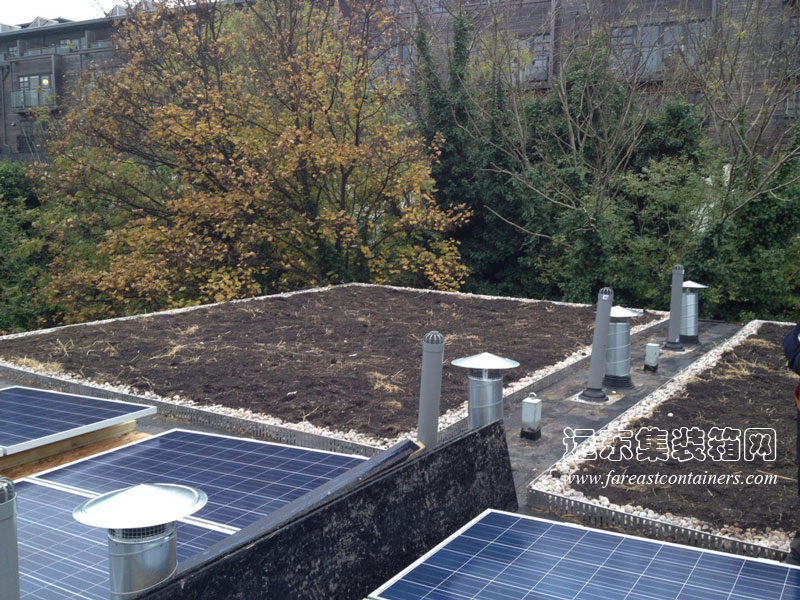 英国布赖顿集装箱公寓屋顶的绿化和太阳能